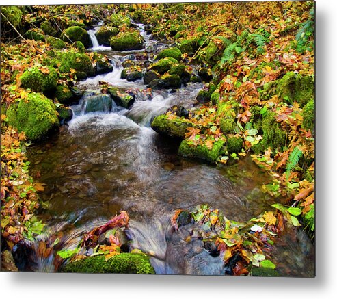 Landscapes Metal Print featuring the photograph Fall Splendor by Steven Clark