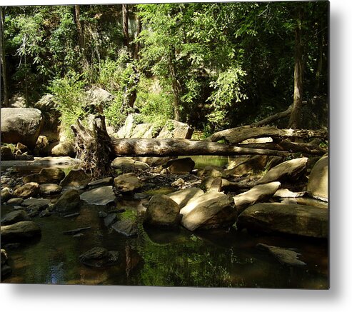 Falls Park Metal Print featuring the photograph Falls Park by Flavia Westerwelle