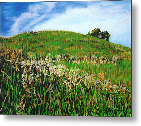 Landscape Metal Print featuring the drawing False Gromwell Slope by Bruce Morrison
