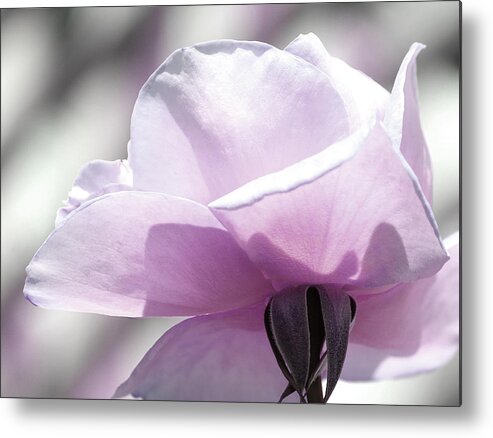 Roses Metal Print featuring the photograph Feeling Beautiful by The Art Of Marilyn Ridoutt-Greene