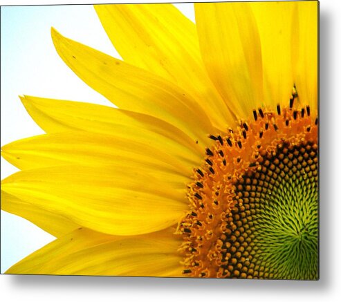 Sunflower Metal Print featuring the photograph Feeling Sunny by Angela Davies