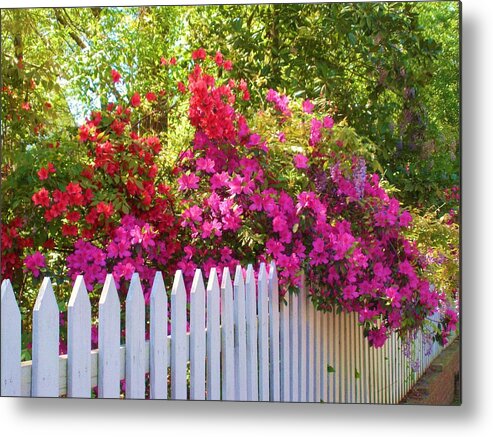 Flowers Metal Print featuring the photograph Fence of Beauty by Jeanette Oberholtzer