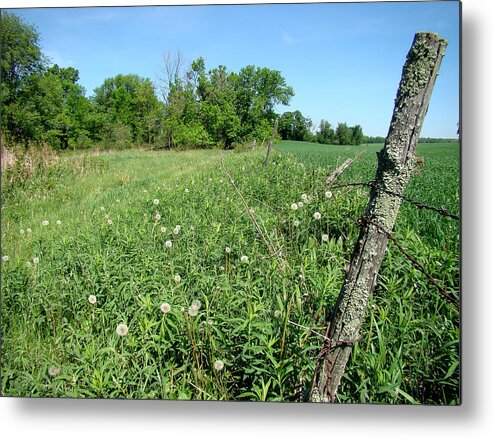 Landscape Metal Print featuring the photograph Fence Post by Todd Zabel