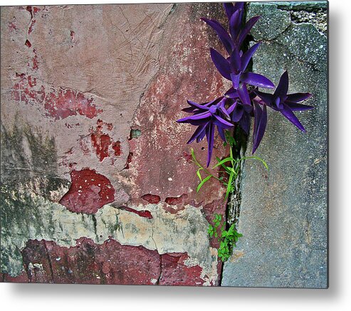 Wall Metal Print featuring the photograph Finding Beauty Everywhere by Elizabeth Hoskinson