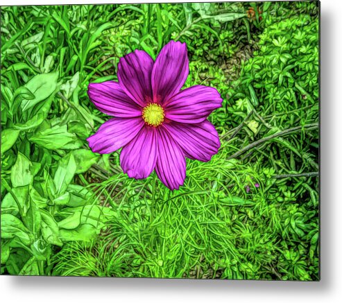 Flower Metal Print featuring the photograph Fine Wine Cafe Pink Cosmos by Aimee L Maher ALM GALLERY