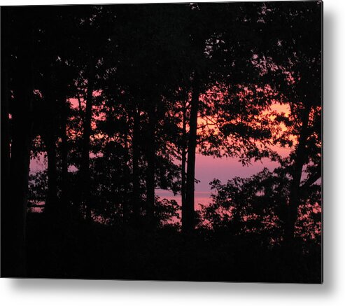  Metal Print featuring the photograph Fire on the Lake by Brenda Berdnik