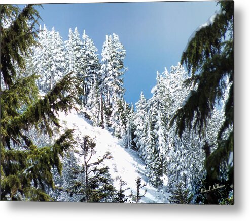 Snowfall Metal Print featuring the photograph First November Snowfall by Wendy McKennon