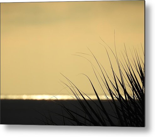 Sun Metal Print featuring the photograph First Shine by Jan Gelders