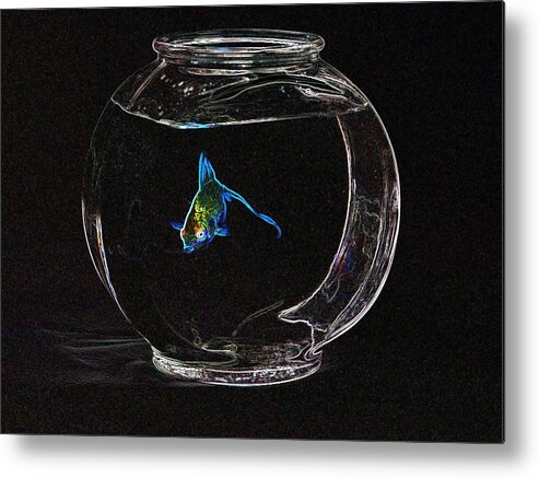 Fish Metal Print featuring the photograph Fishbowl by Tim Allen