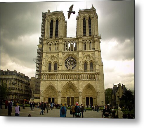 Notre Dame Metal Print featuring the photograph Flight Over Notre Dame by Mark Currier
