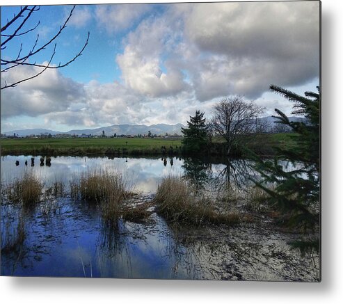 Landscape Metal Print featuring the photograph Flooding River, Field and Clouds by Chriss Pagani