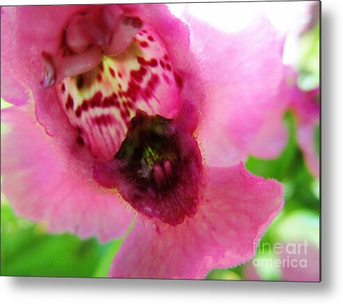 Floral Metal Print featuring the photograph Floral Mask by Sharon Ackley