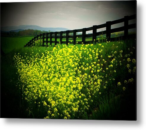 Flowers Metal Print featuring the photograph Flowers Along the Fence by Joyce Kimble Smith