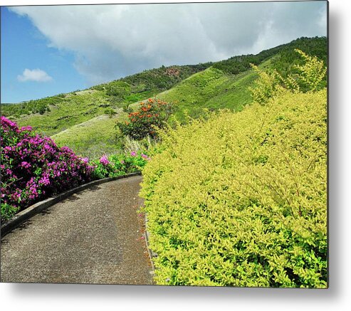 Golf Courses Metal Print featuring the photograph Flowers Along the Golf Course Cart Path by Kirsten Giving
