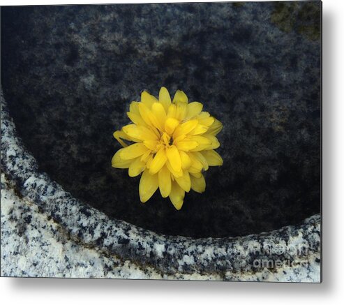 Flora Metal Print featuring the photograph Floating On The Water by Marcia Lee Jones