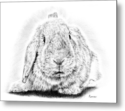 Pencil Drawing Metal Print featuring the drawing Fluffy Bunny by Casey 'Remrov' Vormer