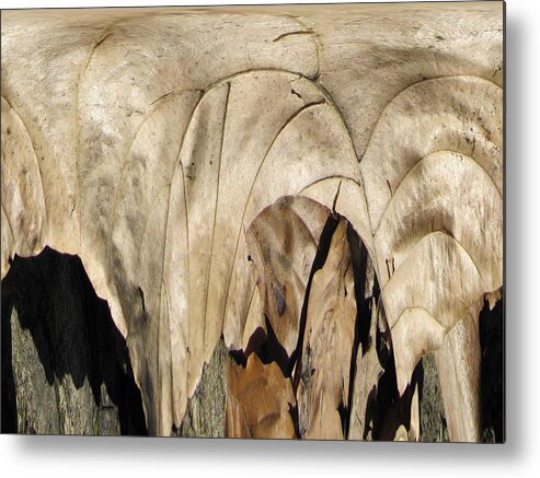 Forest Metal Print featuring the digital art Forest Floor by Tim Allen