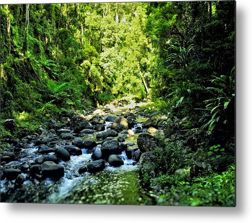 Landscape Metal Print featuring the photograph Forrest Stream by Michael Blaine