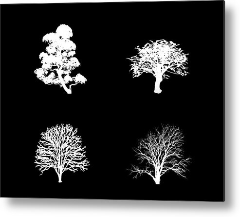 Black Metal Print featuring the digital art Bushy White Trees by Roy Pedersen
