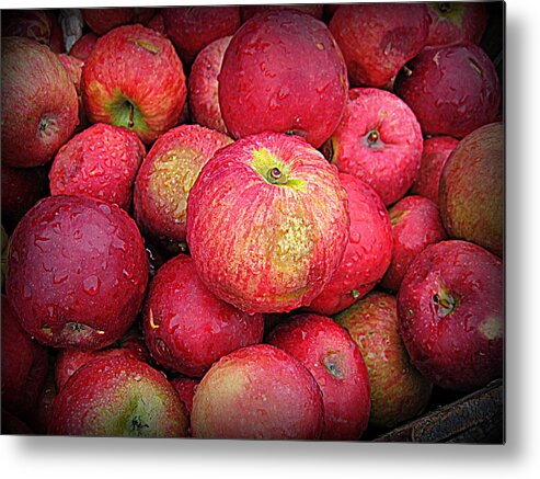 Fresh Apples Metal Print featuring the photograph Fresh Apples by Suzanne DeGeorge