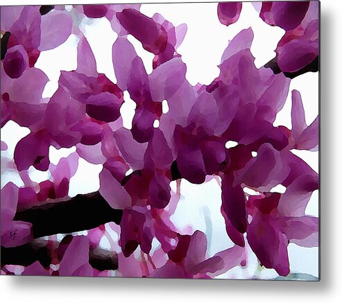Redbud Metal Print featuring the mixed media Fresh Redbud Blooms by Shelli Fitzpatrick