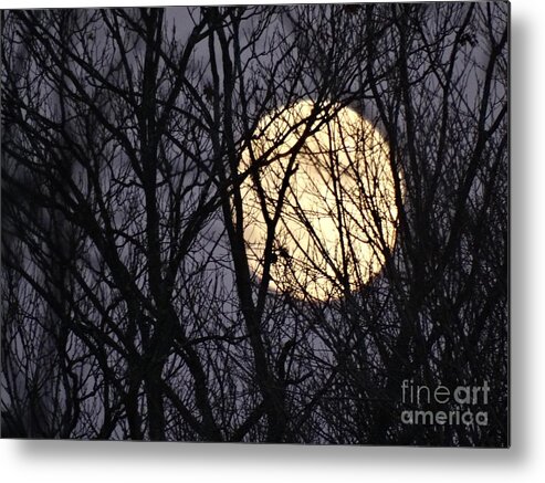 Moon Metal Print featuring the photograph Full Yellow Moon by Gina Sullivan