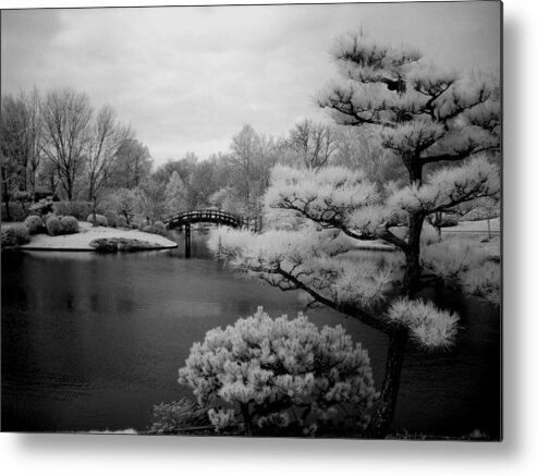 Landscape Metal Print featuring the photograph Garden of Pure Clear Harmony by Jane Linders