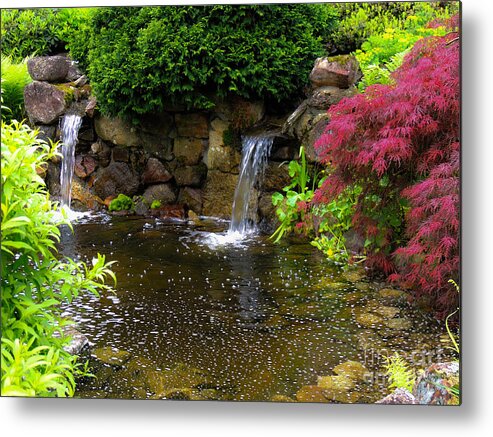 Pond Metal Print featuring the photograph Garden Pond by Mim White