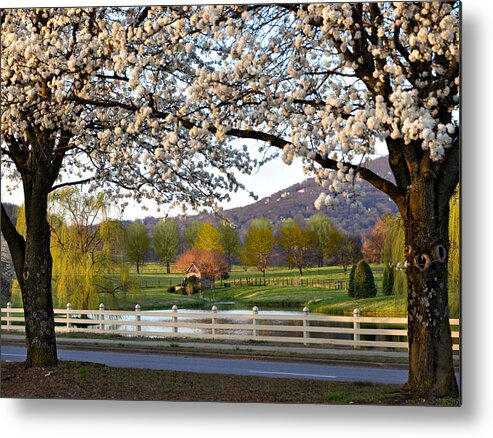 Huntsville Alabama Metal Print featuring the photograph Gateway to Springtime by Jeannee Gannuch