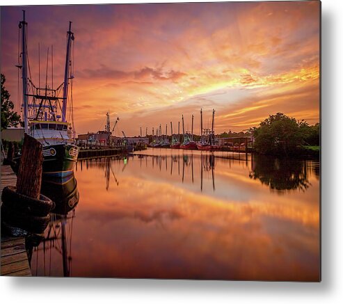 Bayou Metal Print featuring the photograph Golden Bayou 2 by Brad Boland