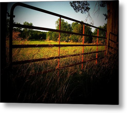 Fence Metal Print featuring the photograph Golden Country Fence by Joyce Kimble Smith