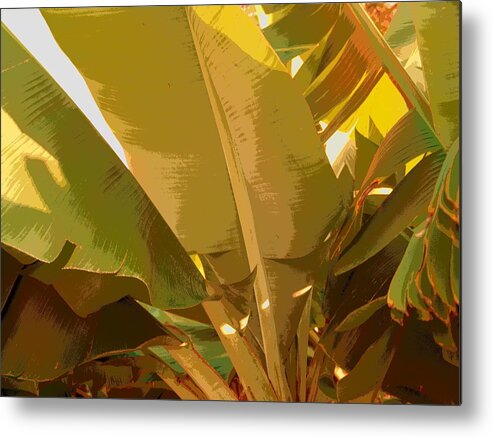 Nature Metal Print featuring the photograph Golden Hour Plant by Florene Welebny