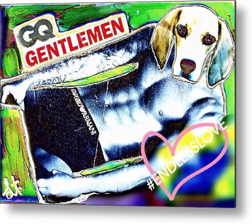 #lisa Metal Print featuring the photograph GQ Gentle Dog by Lisa Piper