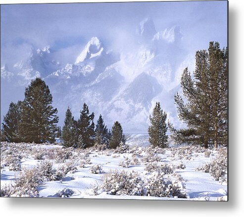 Snow Metal Print featuring the photograph Grand Tetons in Winter Snowstorm by Ted Keller