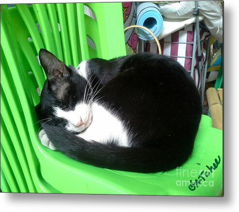 Green Metal Print featuring the photograph Green Chair Sleeping by Sukalya Chearanantana