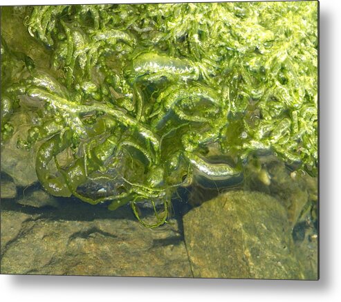 Nature Metal Print featuring the photograph Green Sea 3 by Robert Nickologianis