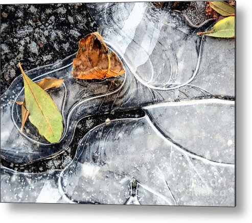 Janice Drew Metal Print featuring the photograph Ground Patterns by Janice Drew