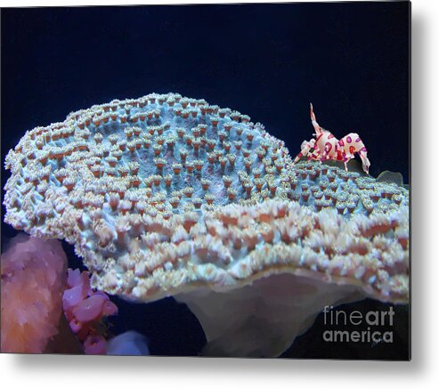 Shrimp Metal Print featuring the digital art Harlequin by Lisa Redfern