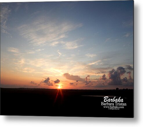 Hearts In The Distance Metal Print featuring the photograph Hearts in the Distance by Barbara Tristan