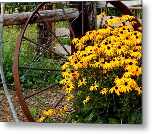 Summertime Metal Print featuring the photograph Hello and Welcome by Wild Thing