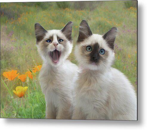 Kitten Metal Print featuring the digital art Help by Thanh Thuy Nguyen