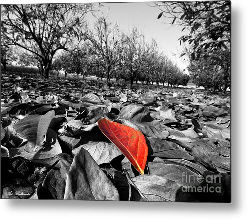Autumn Metal Print featuring the photograph Here comes autumn by Arik Baltinester