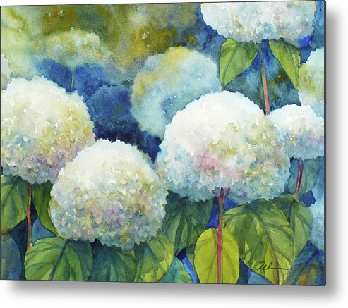 Hydrangeas Metal Print featuring the painting Annabelle Hydrangeas 1 by Janet Zeh