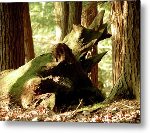 Landscape Metal Print featuring the photograph Horned Tree by Azthet Photography