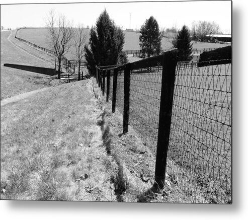 Horse Farm Metal Print featuring the photograph Horse Country by Christopher Brown