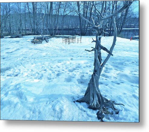 New England Landscape Metal Print featuring the photograph Housesitting 4 by George Ramos