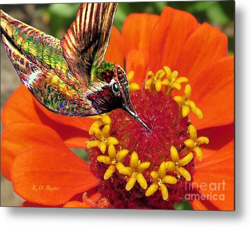 Ruby Throated Hummingbird Flying A Bright Orange Zinnia In Search Of Nectar Nature Scene Bird Artwork Flower Artwork Acrylic And Photograph Mixed Media Work Metal Print featuring the painting Hummingbird Delight by Kimberlee Baxter