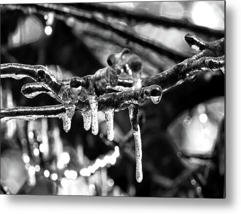 Icicles Metal Print featuring the digital art Ice, Ice Baby by Kathleen Illes
