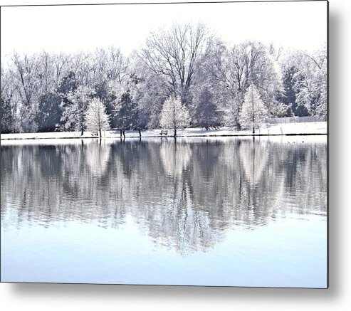 Ice Metal Print featuring the photograph Ice Park by Simply Summery