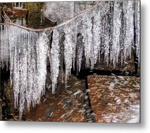 Ice Metal Print featuring the photograph Icy Clothesline by Janice Drew